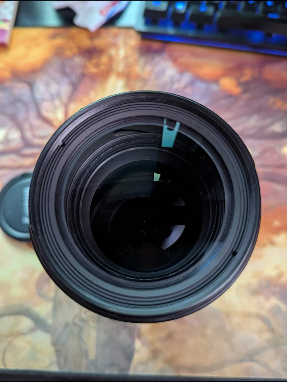 Canon 70-200mm Telephoto Zoom Lens — JAPANESE GLASS